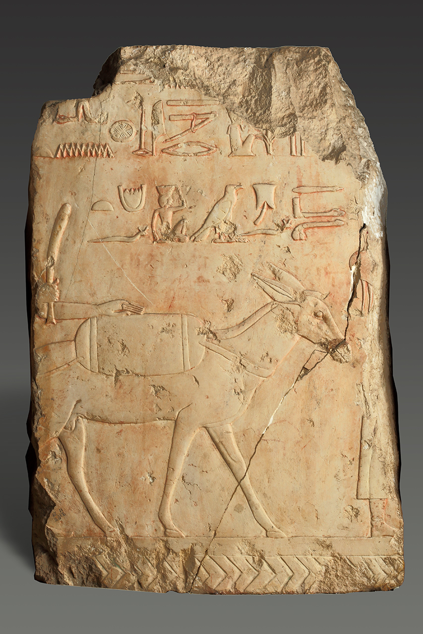 Four Fragments of Queen Hatshepsut’s Expedition to the Land of Punt